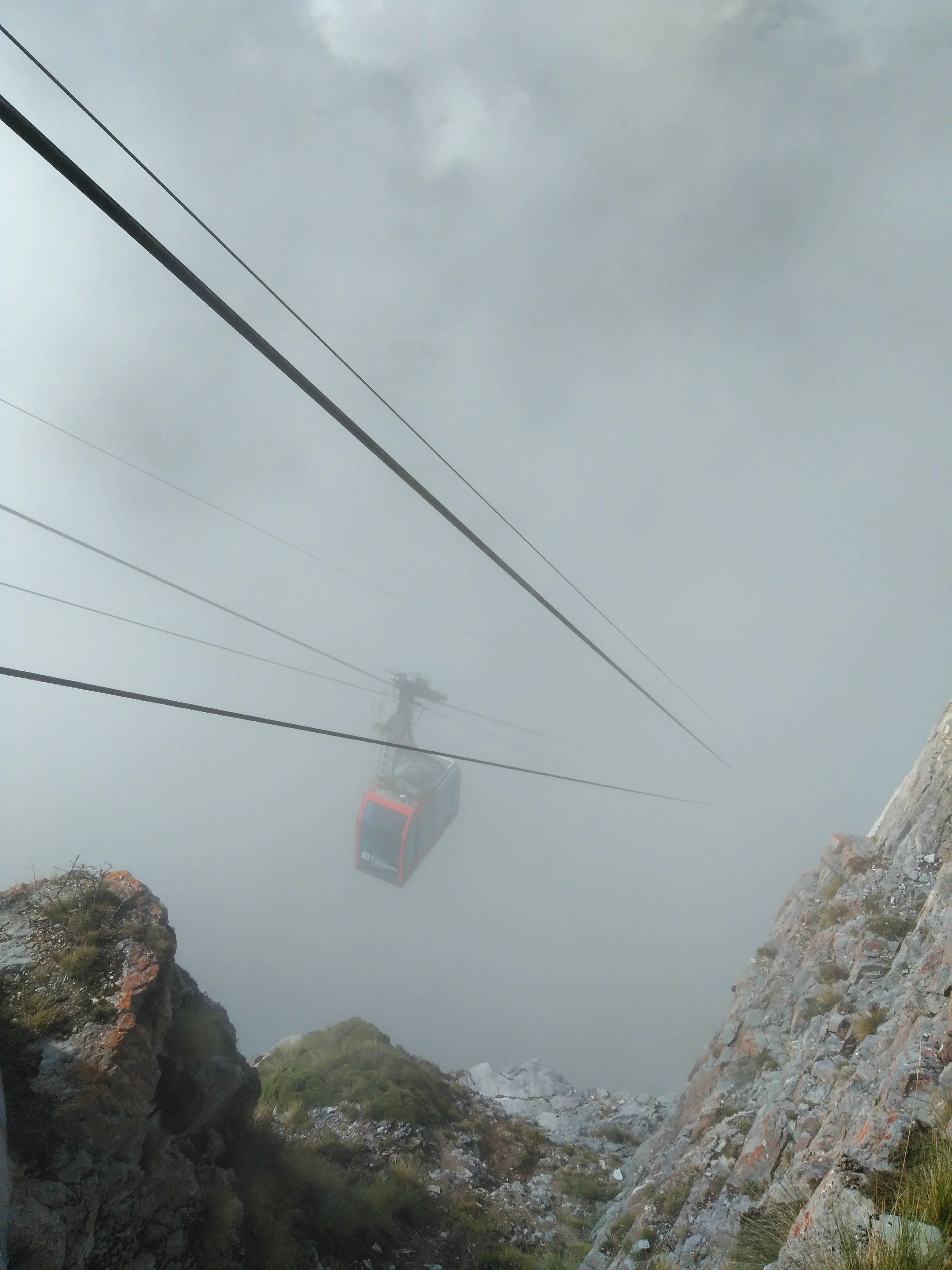 La cabina del teleférico sobre los árboles