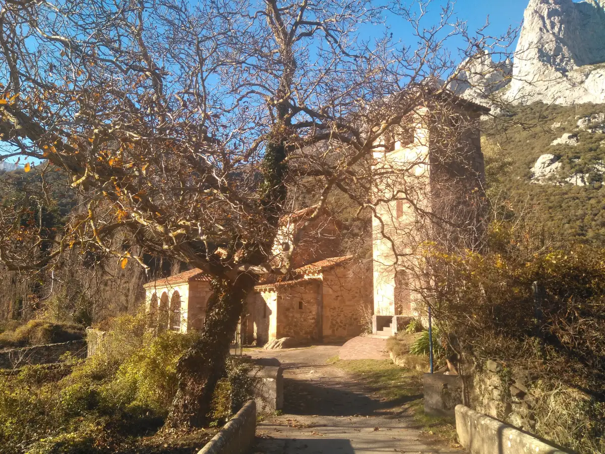 Santa María de Lebeña escondida entre las ramas